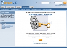 How do I change DNS records if my domain is registered with Directnic?