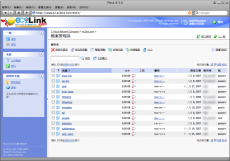 Publishing Sites Through Plesk File Manager