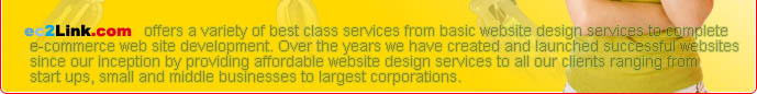 ec2Link.com Website Hosting offers a variety of best class services from basic website design services to complete e-commerce web site development. Over the years we have created and launched successful websites since our inception by providing affordable website design services to all our clients ranging from start ups, small and middle businesses to largest corporations.