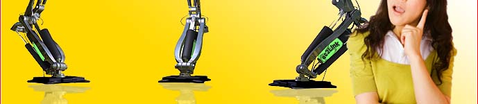 Building A Successful Website