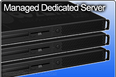 Managed Dedicated Server - Dedicated server is basically renting a whole server solely for your use. It is much like having your own server but the biggest difference is you do not need a large initial investment to set it up.