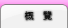 概覽