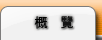 概覽