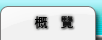 概覽