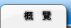 概覽