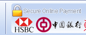Secure Online Payment